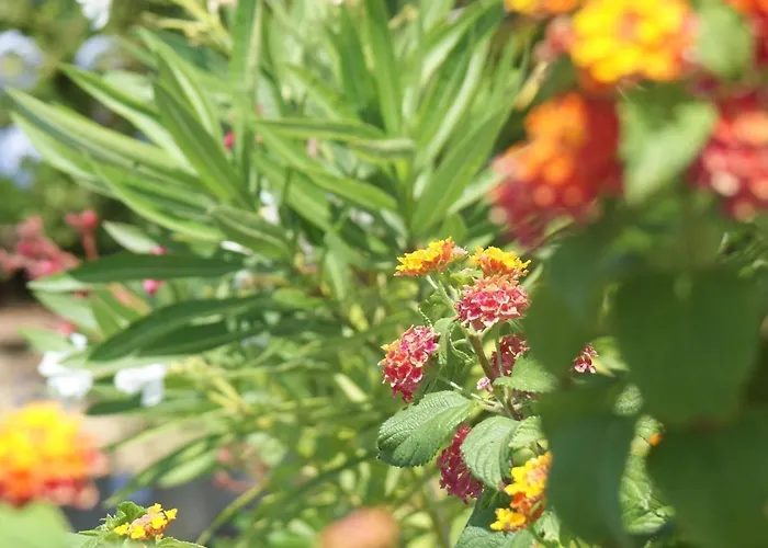 Willa In With Pool & Ocean Views Albufeira